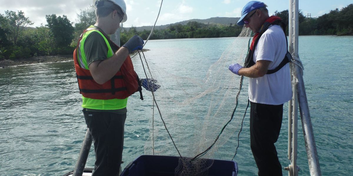 Dieldrin dilemma: How dated science and fish-eating advisories may be putting brains at risk