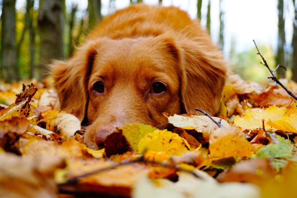 October Is Overrated, Let's Just Accept This Fact