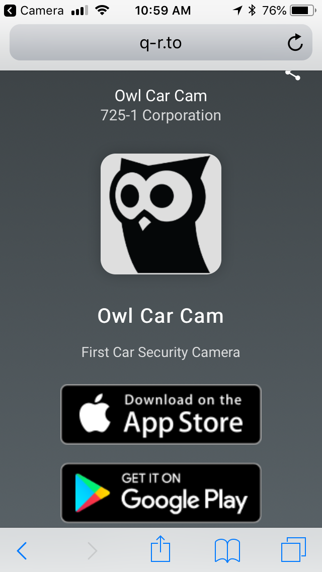 owl car security