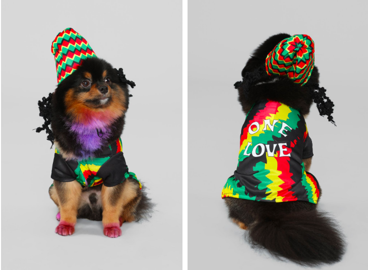 dog gay pride outfits