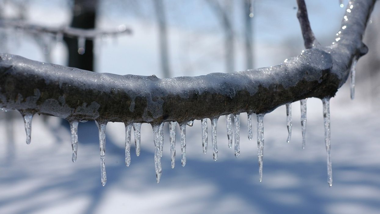 This October snowstorm in New England is pretty amazing to watch