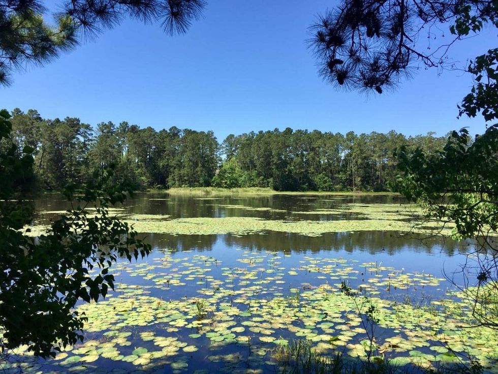 Houston-area's newest trail opens with blossoming plans for the future