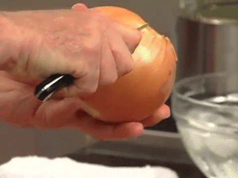 Voglio una vita a «pane e cipolla»