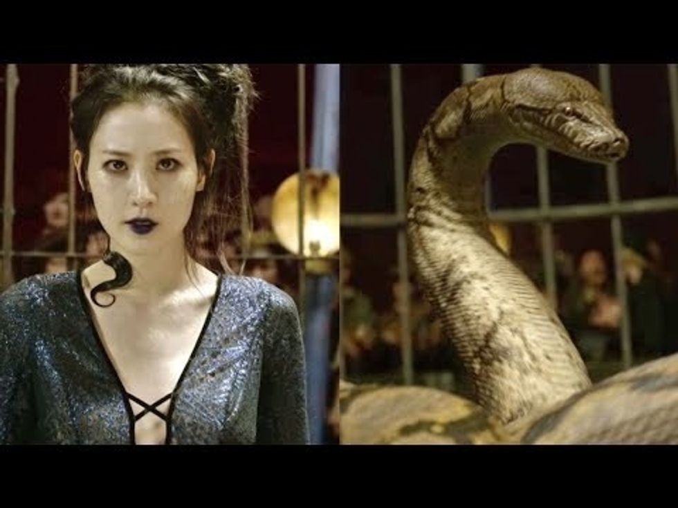 nagini-harry-potter-theory