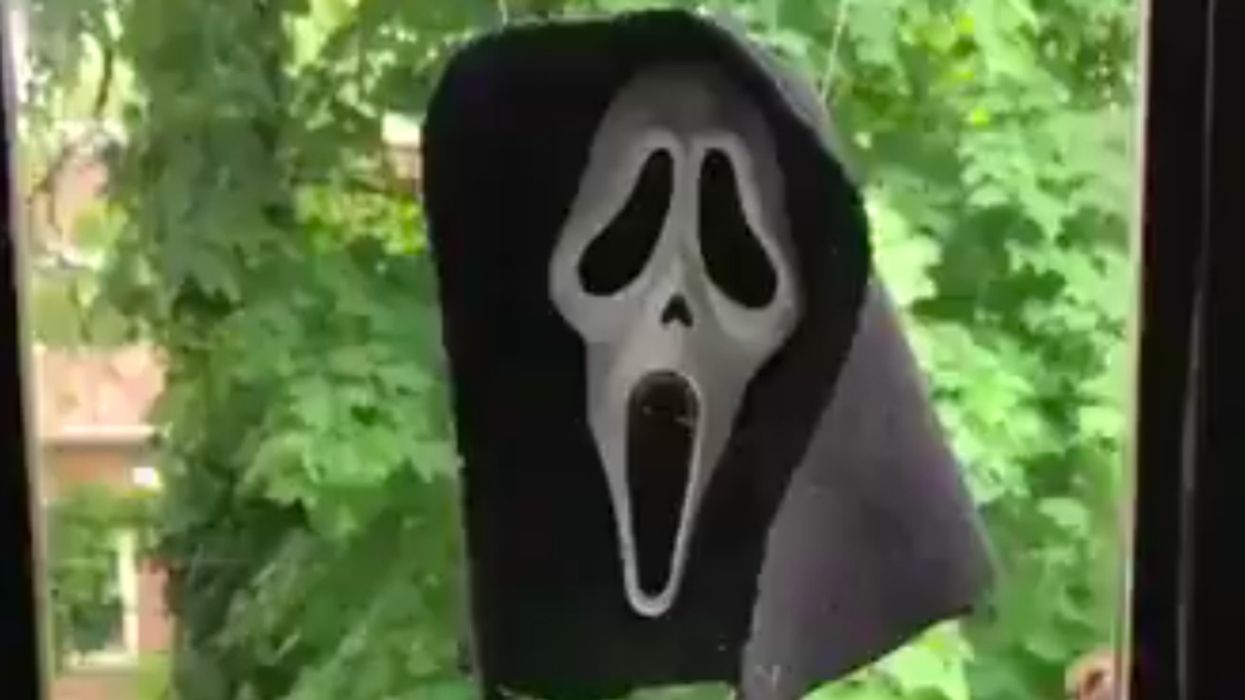 This Squirrel Feeder Straight Out Of A 'Scary Movie' Makes Squirrels Look Totally Evil 😱