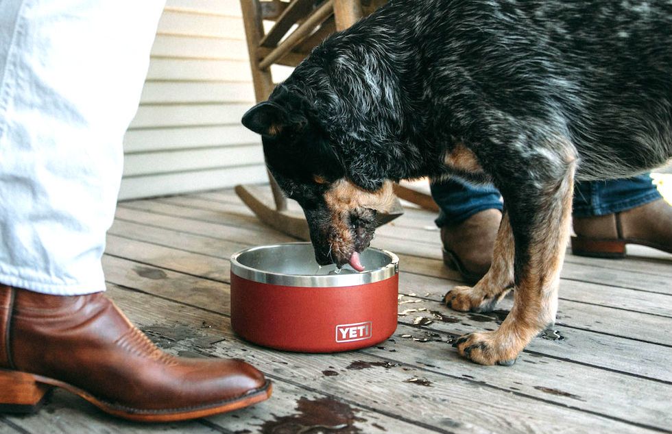 yeti dog dish