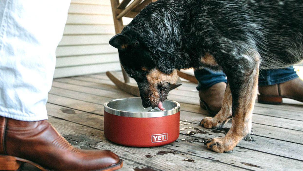 Yeti now makes a $50 dog dish so large breeds can eat in style