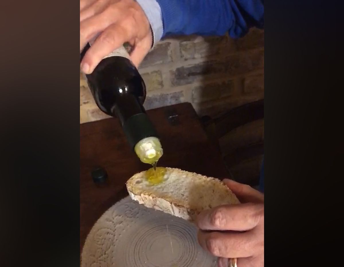 Guida agli extravergini d'Italia e al turismo che protegge il nostro olio