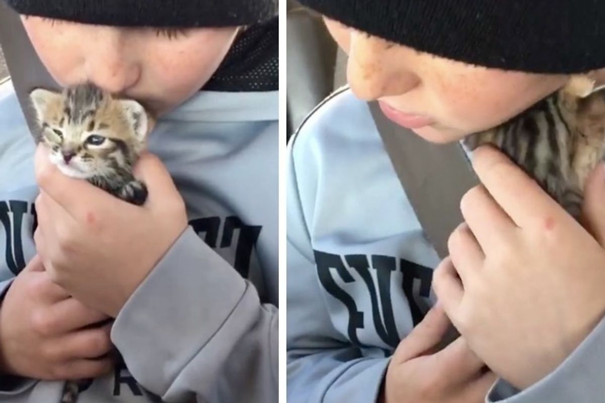 10-year-old Boy Calms Crying Abandoned Kitten and Finds Her a New Cat Mom.