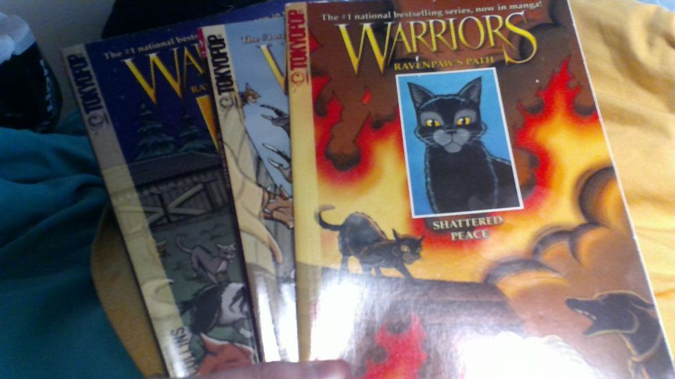 I Have A Love Hate Relationship With Warrior Cats I Have A Love Hate Relationship With Warrior Cats
