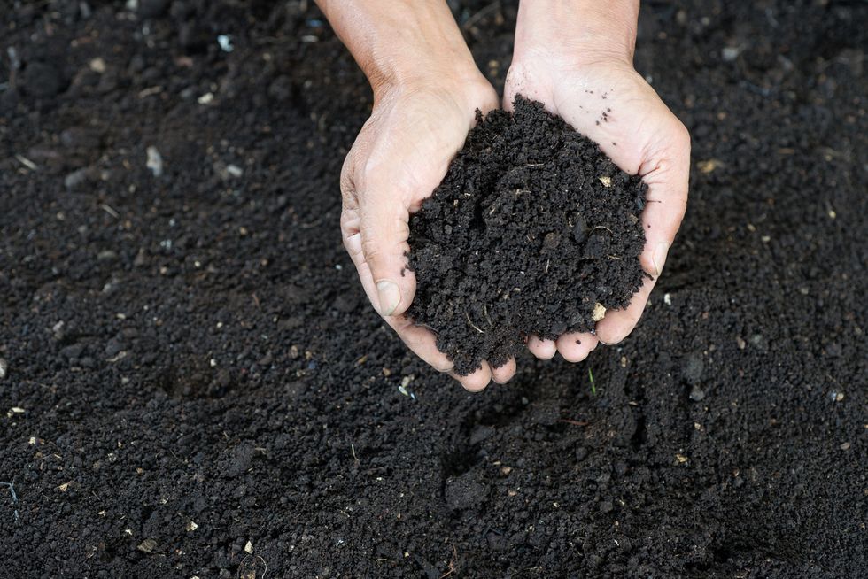 a photo of compost
