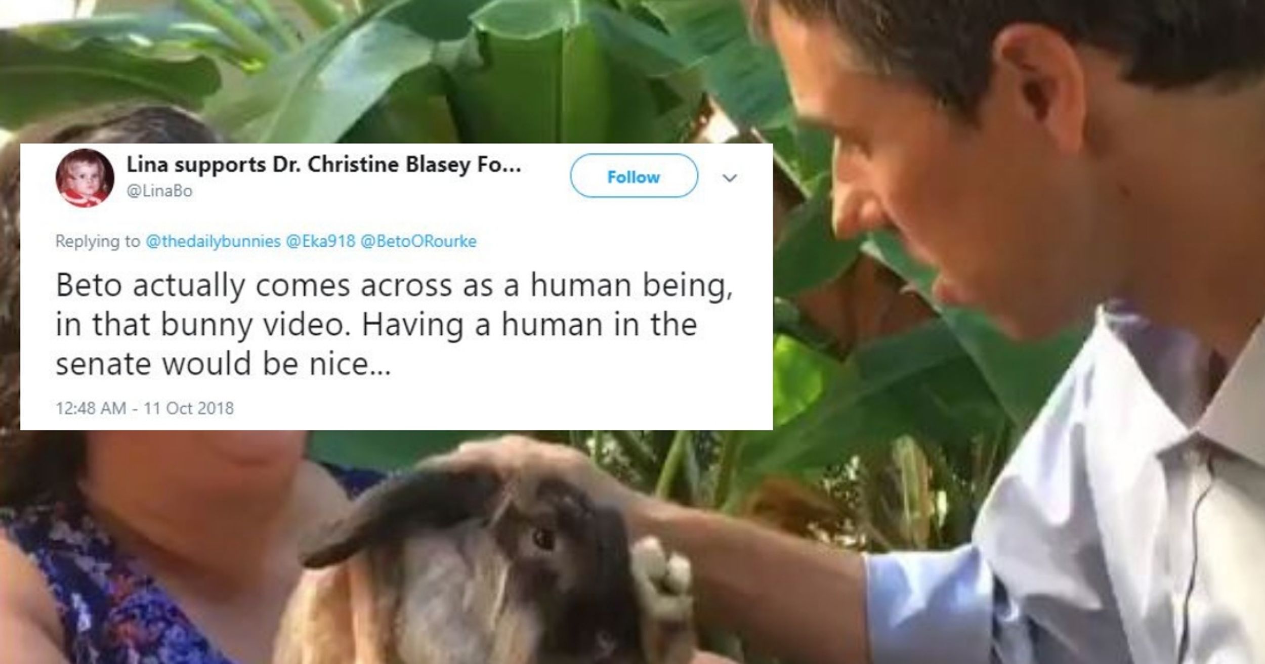 We Don't Deserve This Video Of Beto O'Rourke Petting A Bunny Named Rainbow 😍