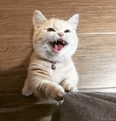 Come Get Your Weekend News Dump!