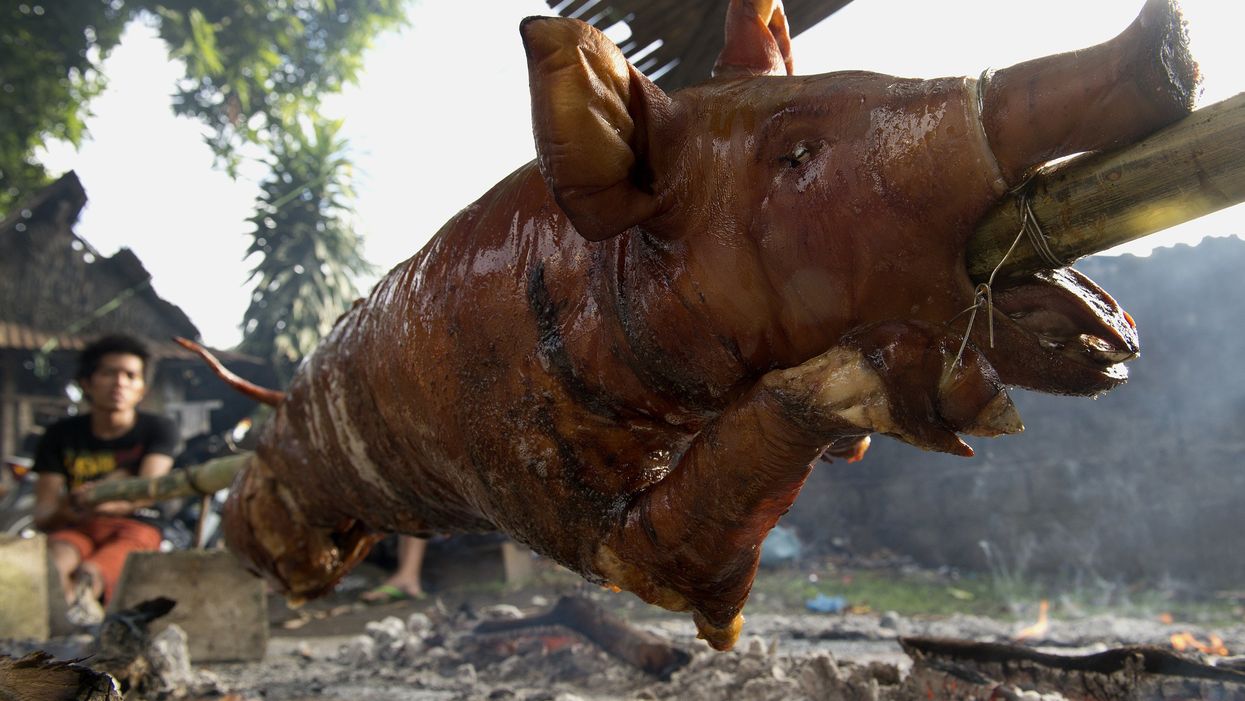 Roasted pig found in luggage at Atlanta airport