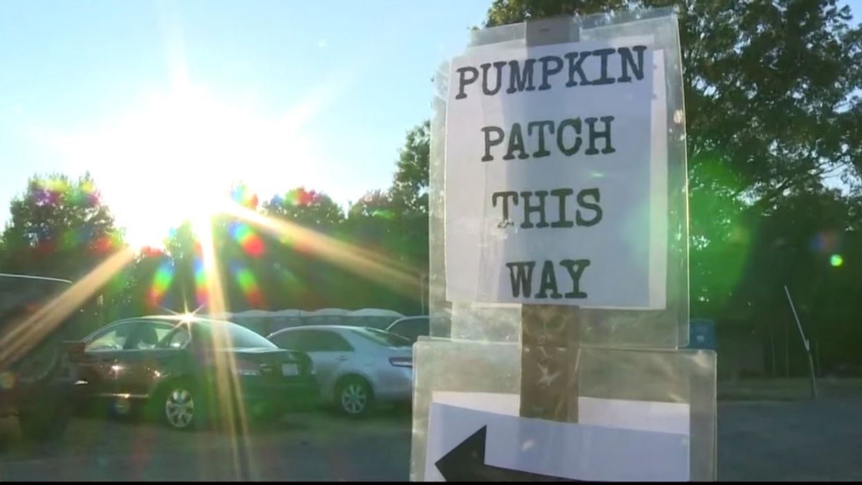 Tour Guide Ruins Kids' Field Trip To Pumpkin Patch With Racially Insensitive Comments