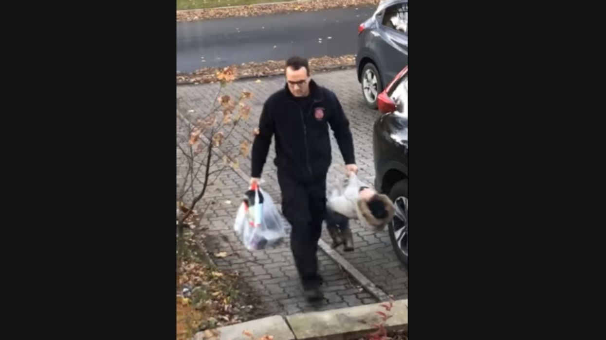 A Video Of This Dad Carrying His Toddler In The Daddiest Way Is Going Viral