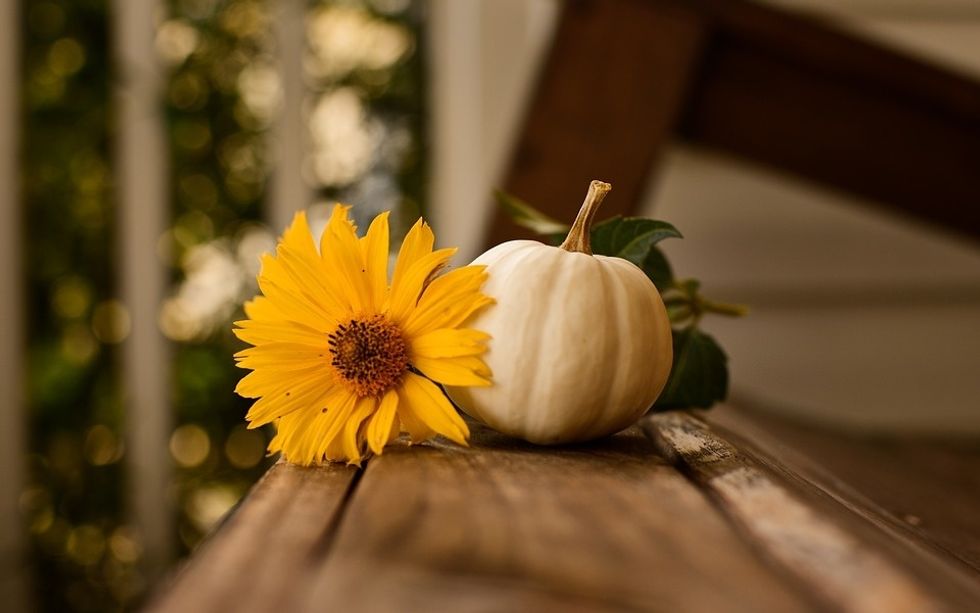 https://pixabay.com/en/thanksgiving-pumpkin-fall-autumn-3811492/