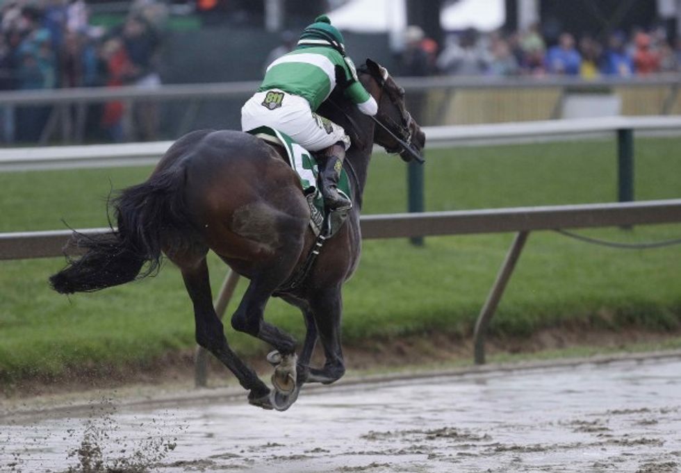 Preakness Kicks Off With Tragedy as One Horse Collapses and Dies After