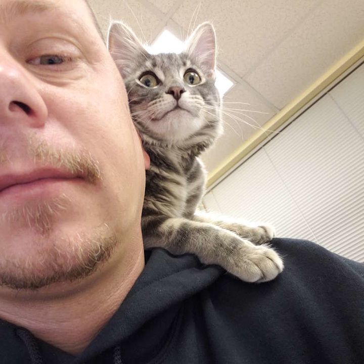 Cop Saves Kitten From Being 'Bait' — And Makes Her His Partner