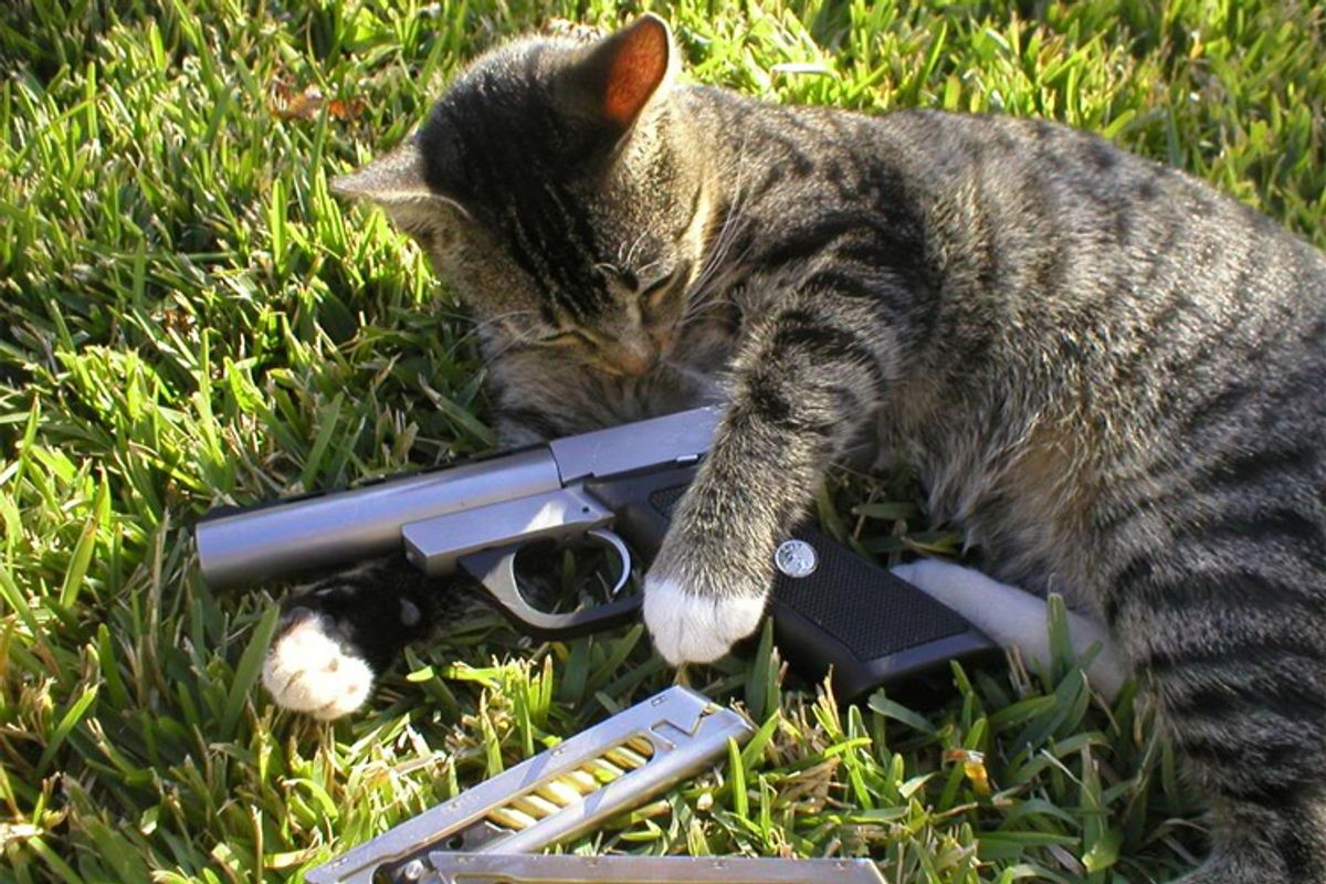 Midterms Fairly Good For TAKIN' ALL YR GUNS