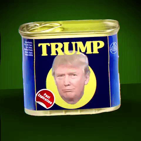 Thanks For All The Electoral Victories, Donald! Love, Nancy Pelosi And The Deep State Liberals