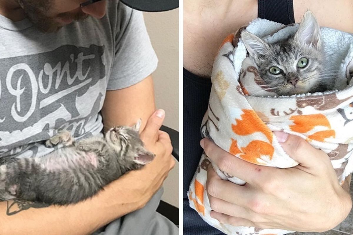 Kitten Has a Condition That Requires Being Held Upright in a Purrito After Every Meal