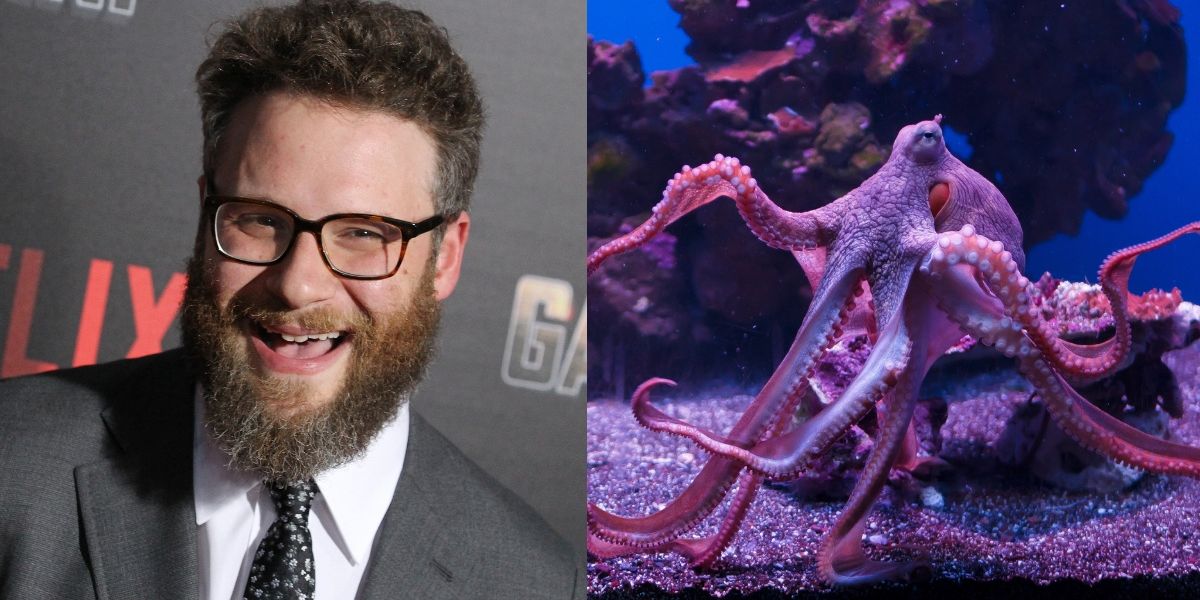 who is bill nighy dating