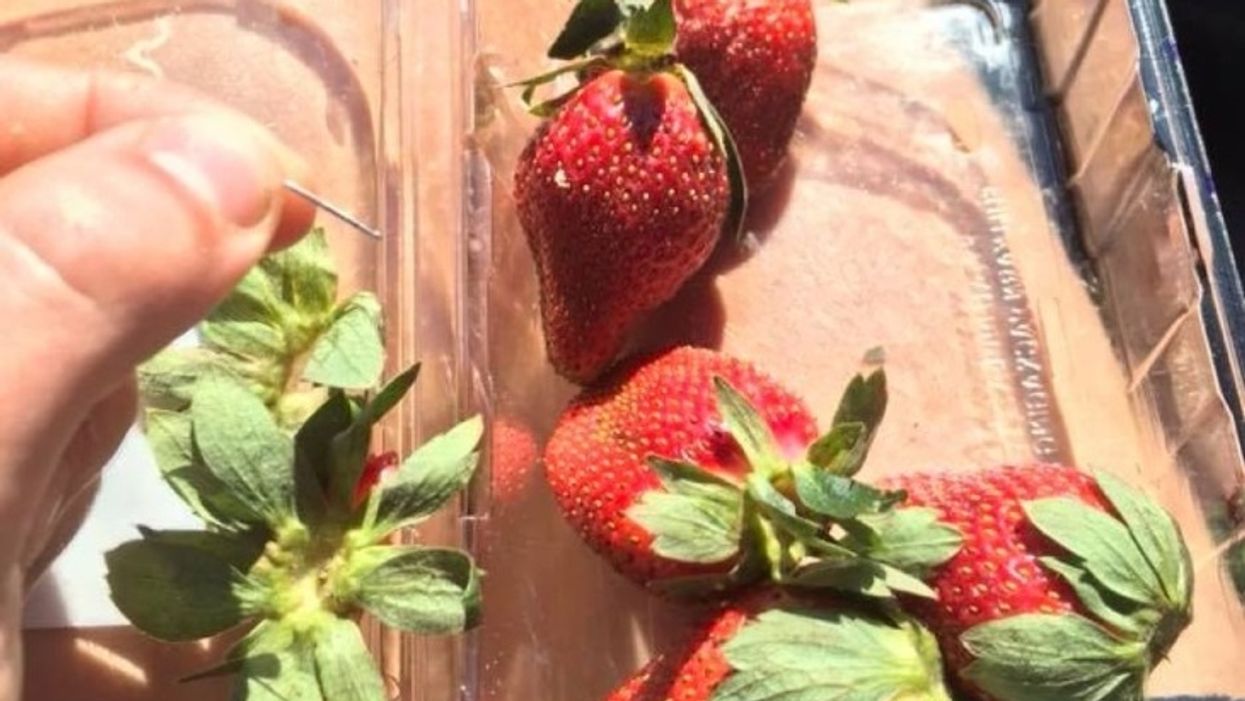 Authorities Arrest Woman In Connection To Australia's Needle-Filled Strawberries Crisis