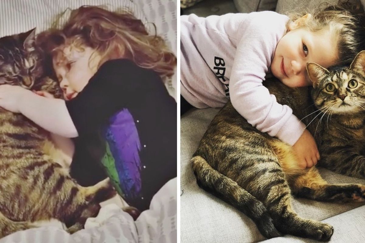 Kitten Falls In Love with Her New Sister and Guards Her Everywhere She Goes