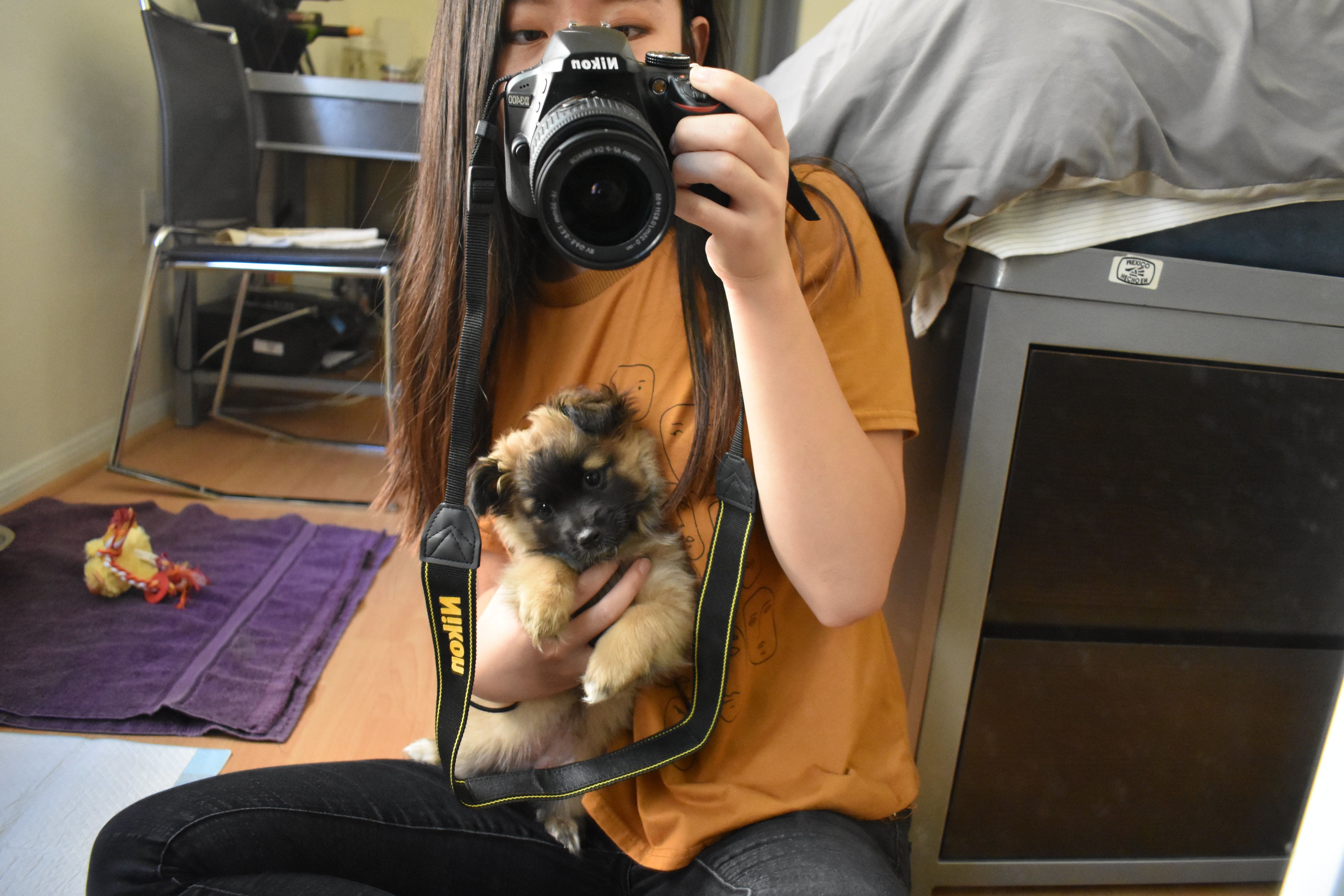 10 Reasons To Get A Dog In College