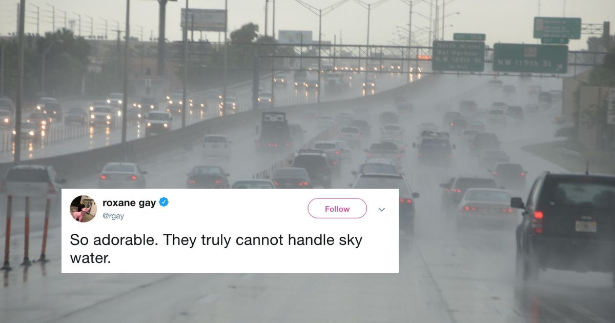 Los Angeles Loses Its Mind As Drivers Completely Forget How To Drive In The Rain