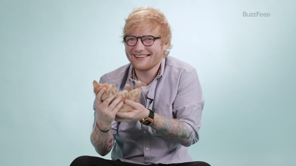 12 Famous CatLovers From Today And From History