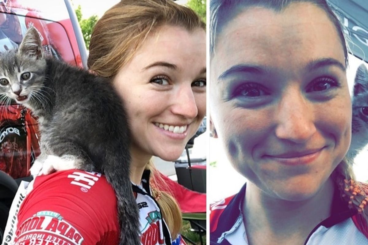 Stray Kitten Climbs onto Cyclist's Shoulder and Insists on Being Adopted