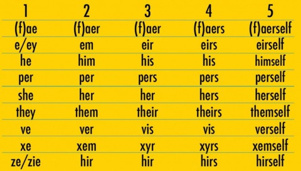 i-don-t-care-about-your-preferred-pronoun-i-ll-simply-call-you-what