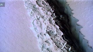 antarctica iceberg breaks off 2019 effects antarctica iceberg breaks off 2019 effects