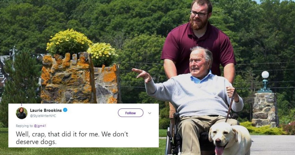 Image Of George H.W. Bush's Faithful Service Dog Is Giving Us All The Feels 💔