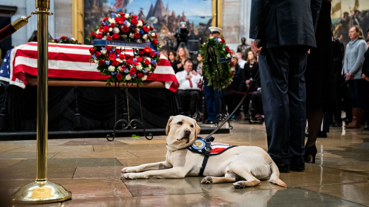 President Bush's service dog Sully attends funeral and there aren't enough crying emojis