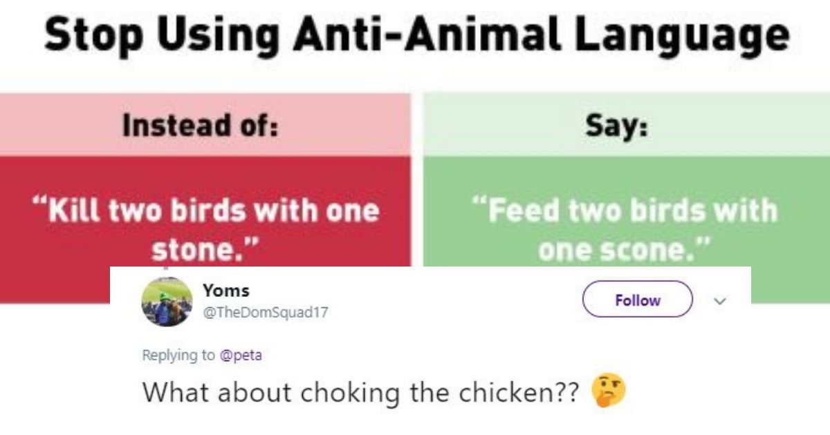 PETA Just Released Their 'Animal-Friendly' Versions Of Common Idioms—And The Internet Has Questions