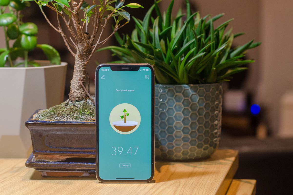 This tree-growing app made me put down my smartphone and become more productive