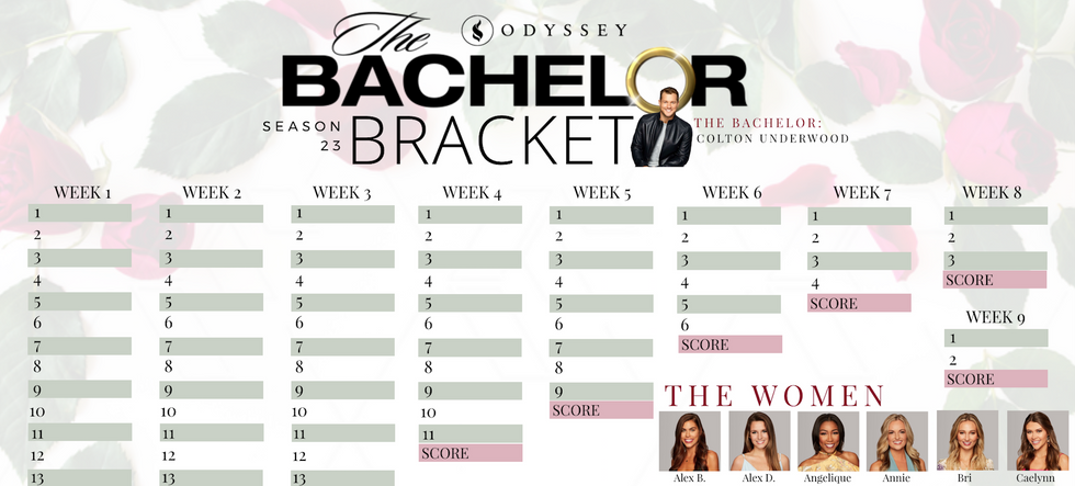 This ‘The Bachelor’ Bracket Is Everything You Need For The Season 23 January Premiere