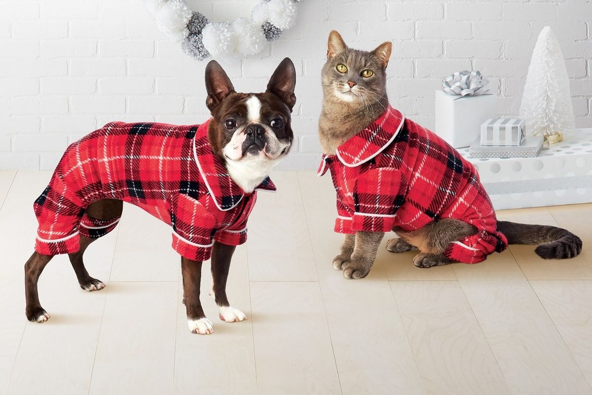 The Holiday Gift Guide For Practically Everyone In Your Life