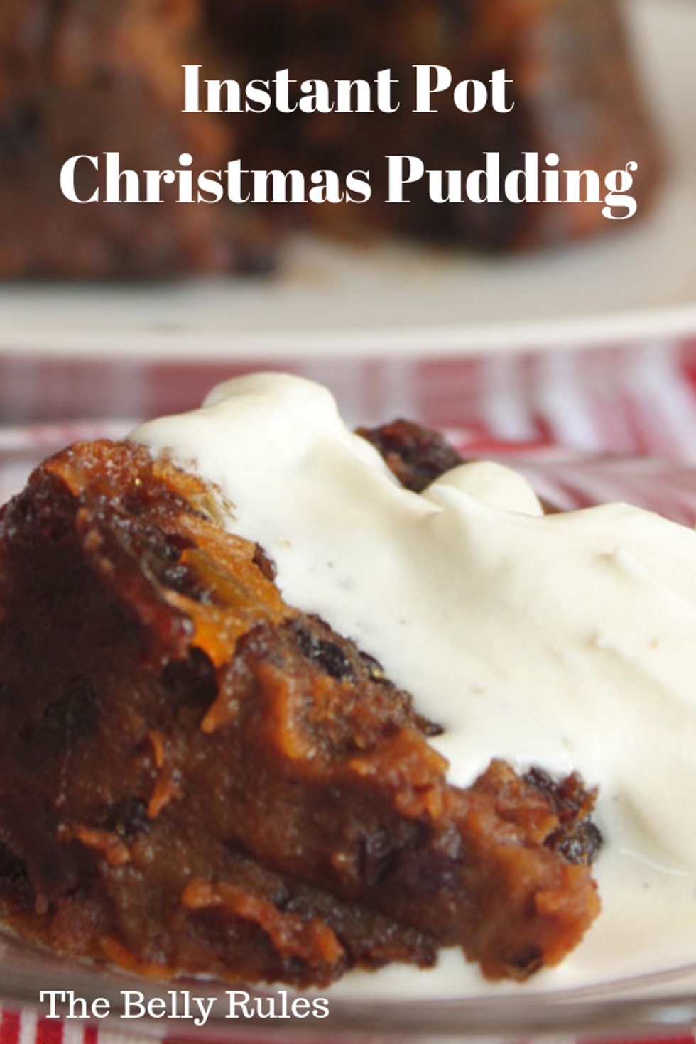 Instant Pot Christmas Pudding - My Recipe Magic