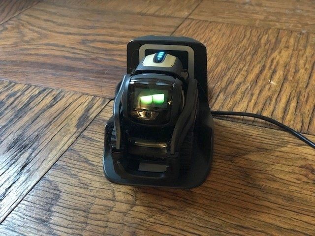 anki vector alexa update