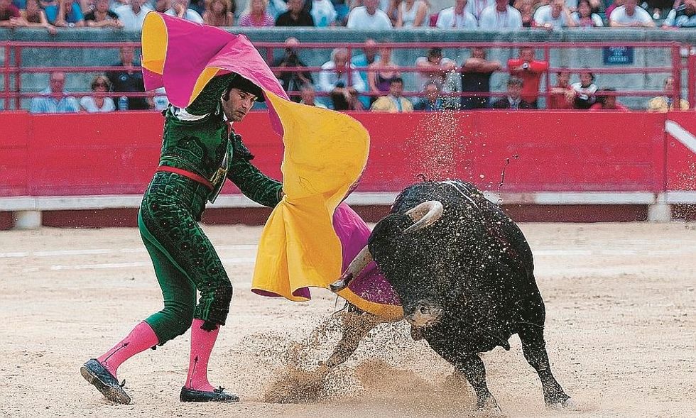 Perchè I Tori Odiano Il Rosso