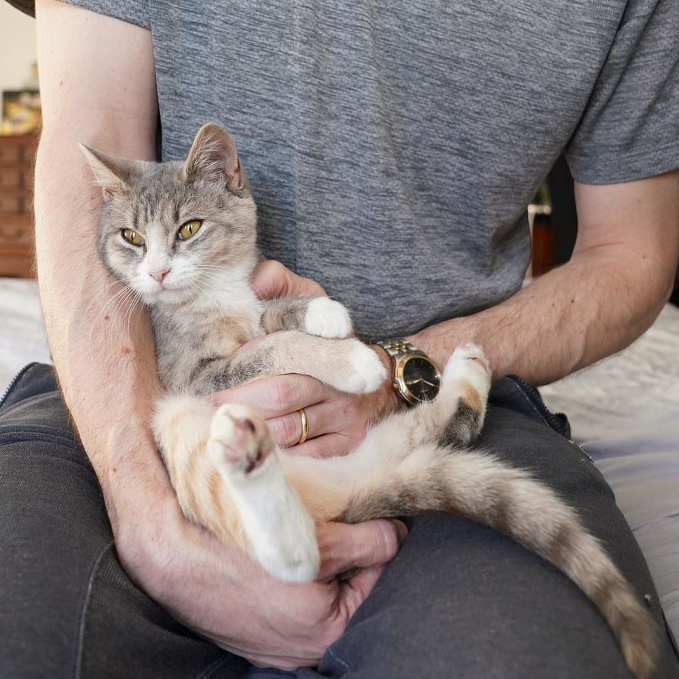 Man Saves Kitten with Wounded Leg, the Kitty Clings to Him and Won't