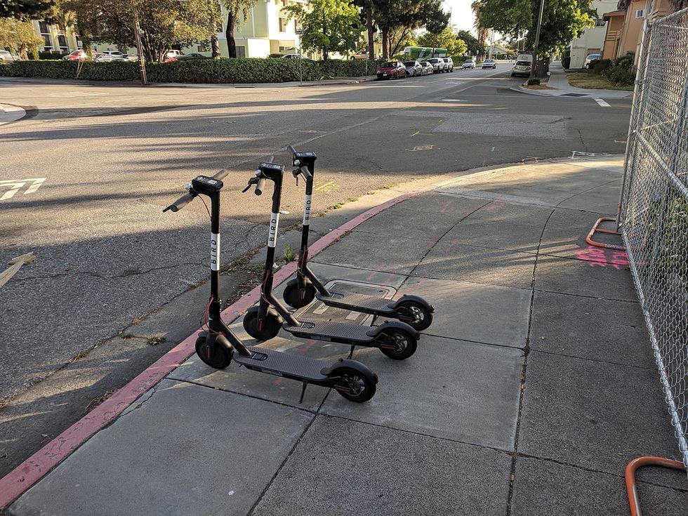 Bird Scooters Migrate To College Campuses But Not Everybody Is Flocking To Use One