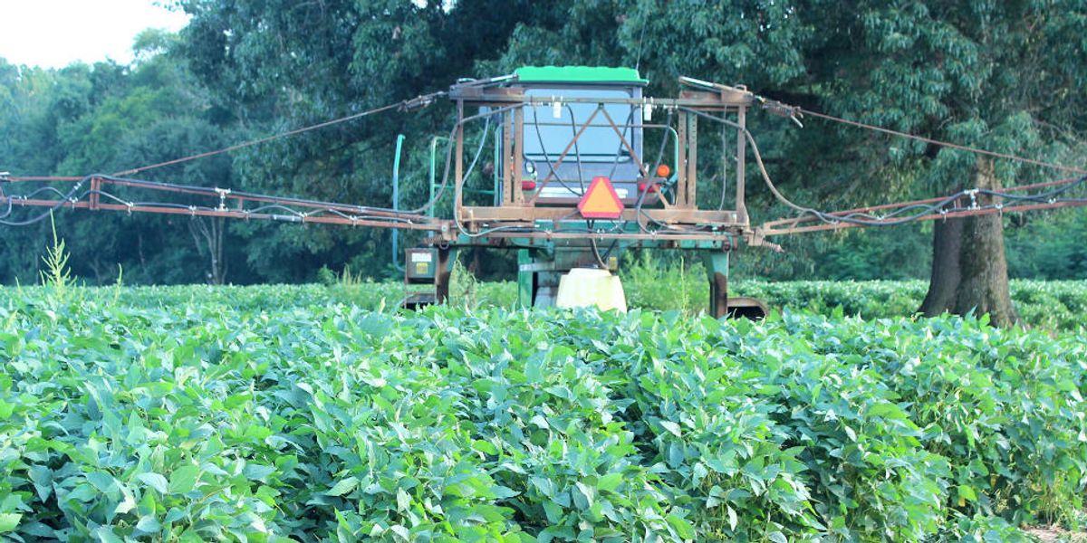 Chemicals on our food: When “safe” may not really be safe