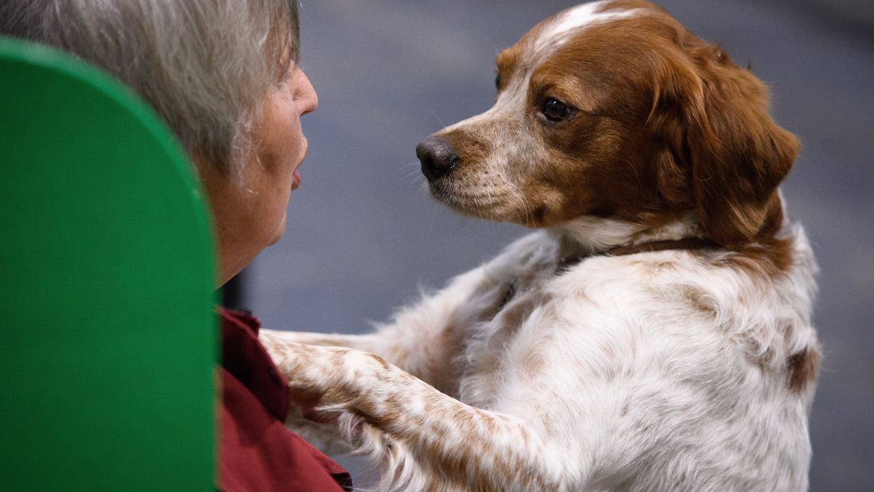 Women sleep better with dogs by their side, according to study