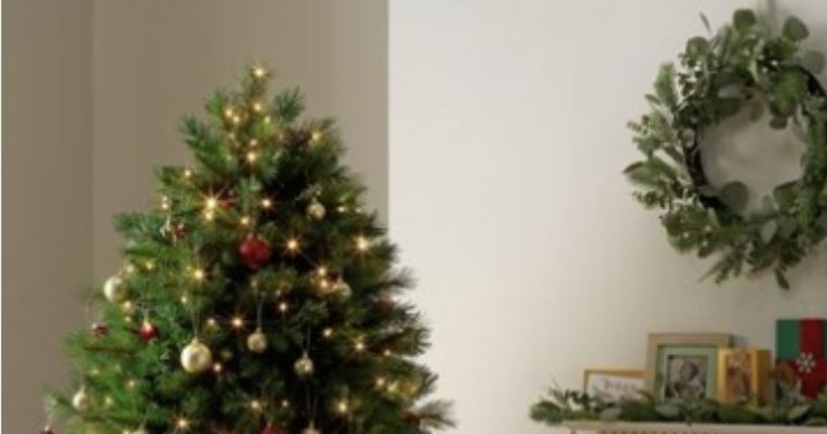 argos cat friendly tree