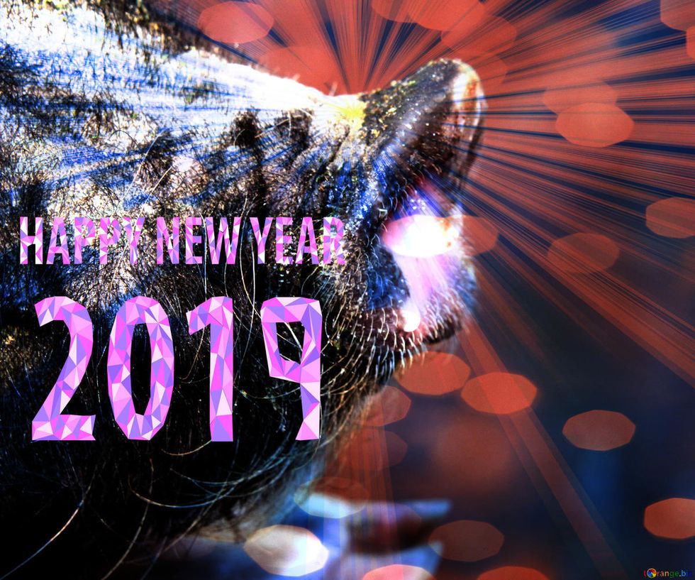 19 Things I Need To Work On In The New Year